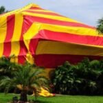 how long after fumigation is it safe to return home