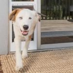 how to lock sliding glass door with dog door