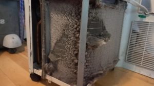 how to clean mold out of a portable air conditioner