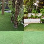 tips for an eco friendly lawn care