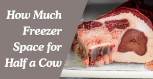 how much freezer space for half a cow