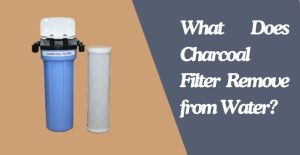 what does charcoal filter remove from water