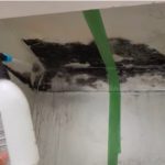 how to clean a moldy refrigerator