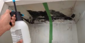 how to clean a moldy refrigerator